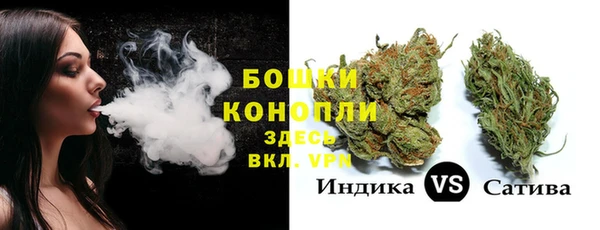шишки Струнино