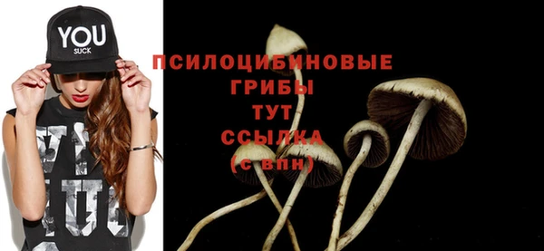 шишки Струнино