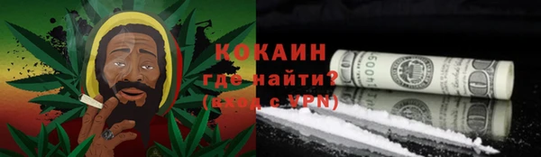 шишки Струнино