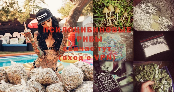 шишки Струнино