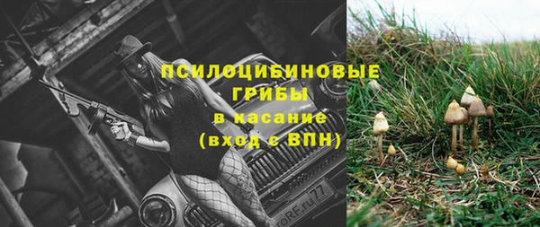 амф Ступино