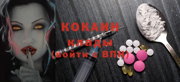 шишки Струнино