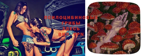 шишки Струнино