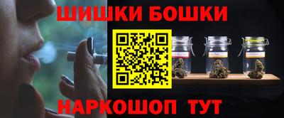 индика Заволжье