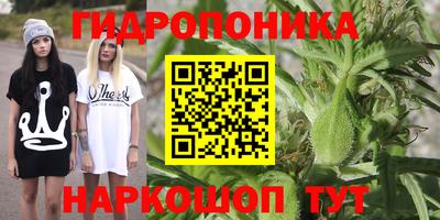индика Заволжье