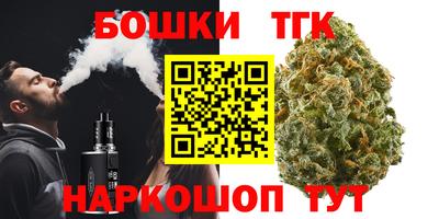 индика Заволжье