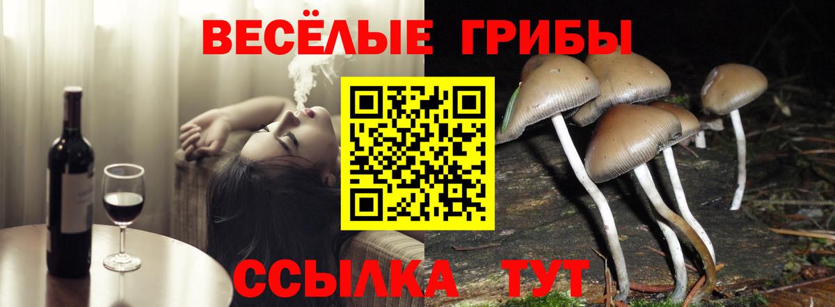 Псилоцибиновые грибы мухоморы  Вход с VPN  Казань 